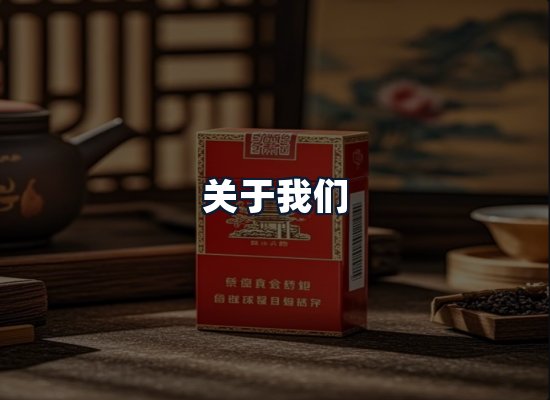 关于我们